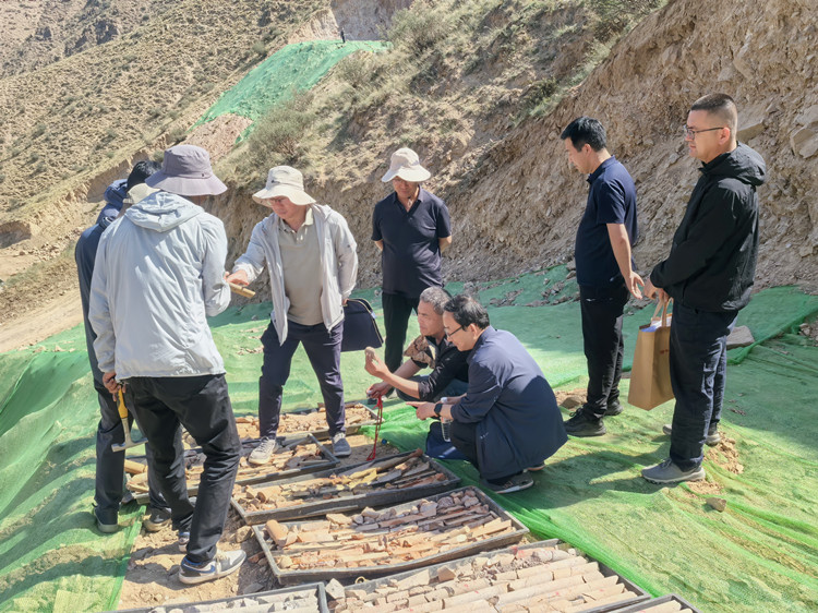 大隊(duì)黨委書(shū)記、大隊(duì)長(zhǎng)張文宏一行深入武威市金山鎮(zhèn)馬蓮大坂硅石礦項(xiàng)目檢查指